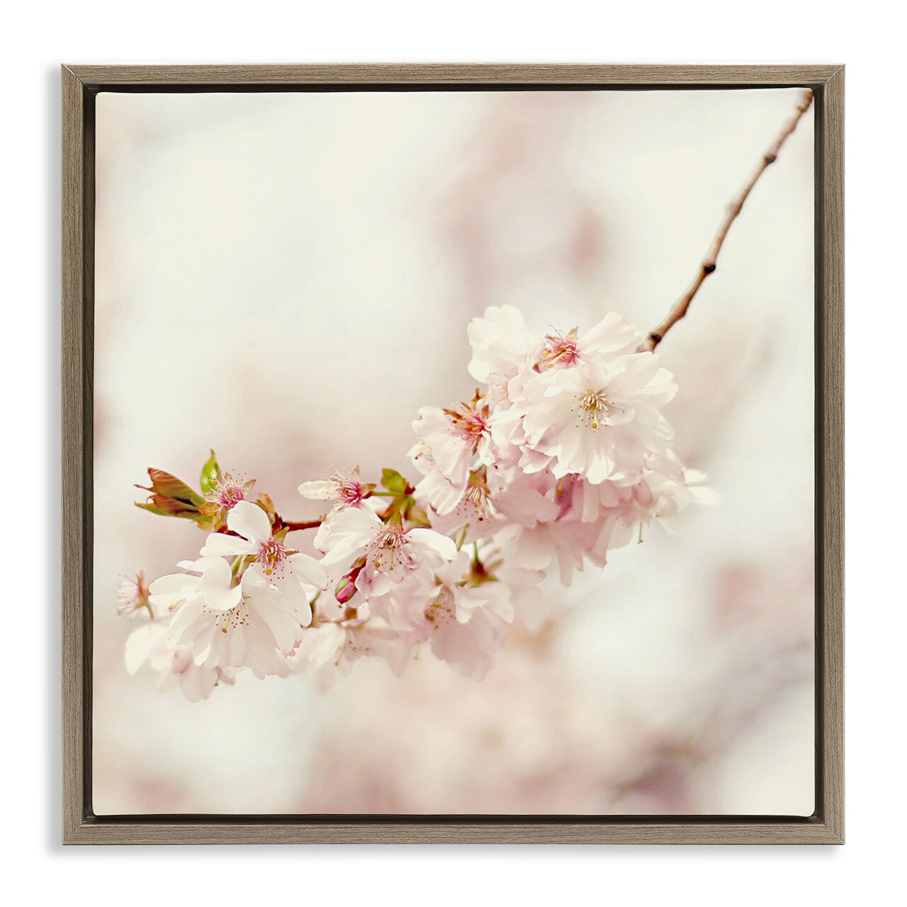 Stupell Industries Delicate Cherry Blossom Framed Floater Canvas Wall Art Design by Sarah Gardner